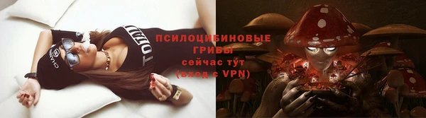 амф Алексин