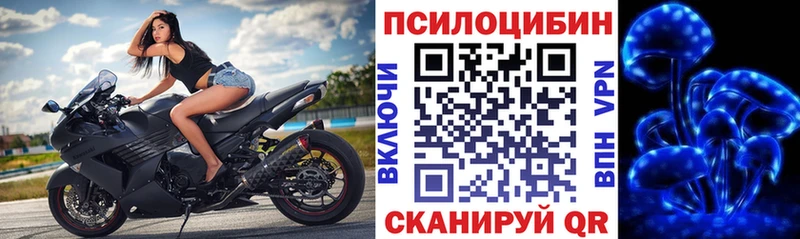 Псилоцибиновые грибы MAGIC MUSHROOMS  Кирсанов 